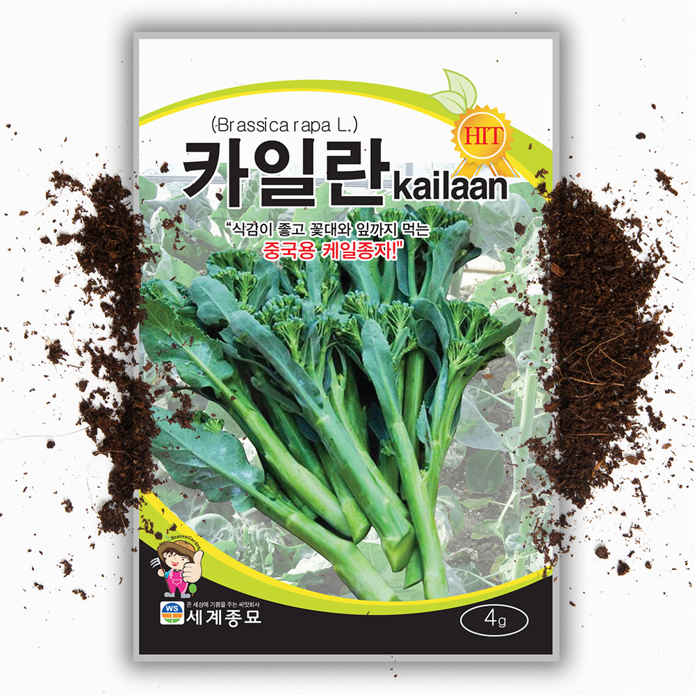카이란 씨앗 4g 중국 케일 브로콜리 아삭 식감 채소 씨앗 - 상품 이미지