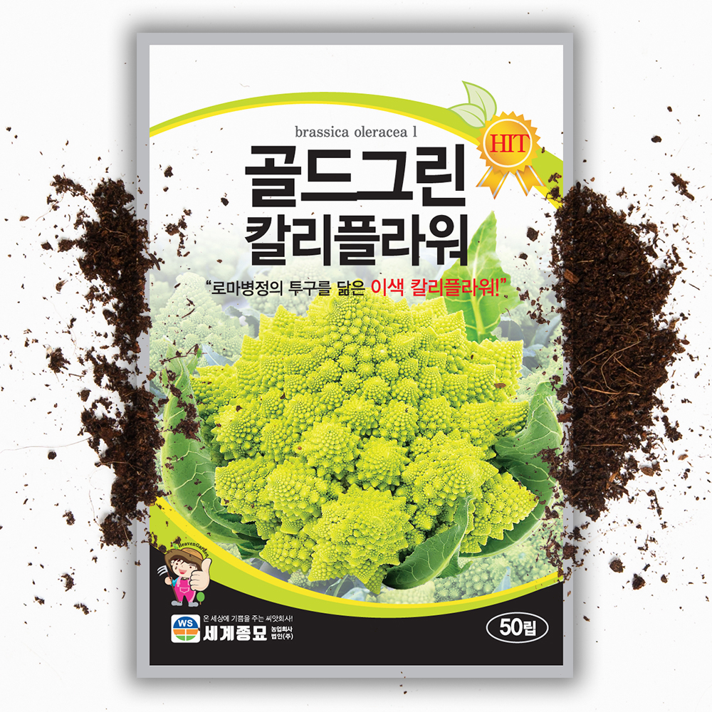 산모양브로콜리 컬리플라워 씨앗 50립 로마네스코 종자 - 상품 이미지