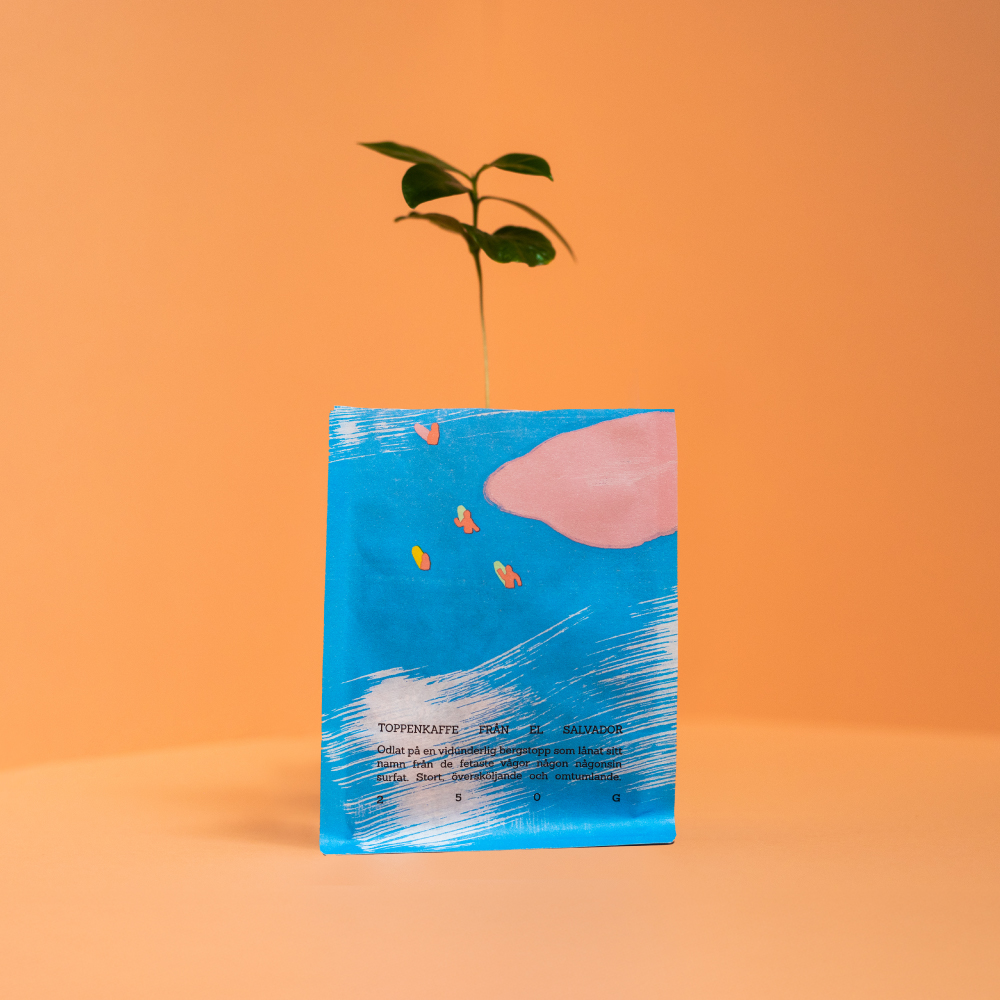 리케 커피 빅 먼데이 스페셜티 커피 스웨덴 북유럽 홀빈 원두(필터브루 싱글 오리진 250g) - 상세 이미지 2