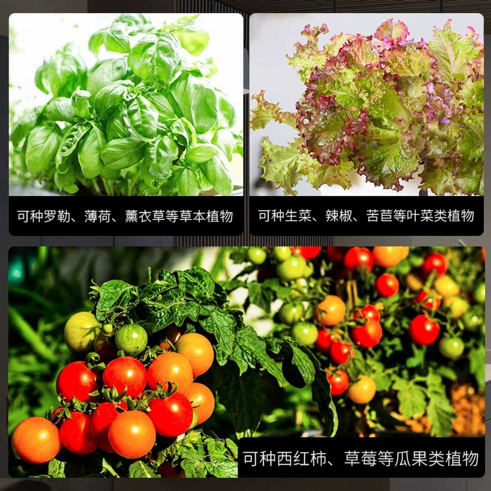 스마트 야채재배기 가정용 상추 식물 용 키우기 허브 - 상세 이미지 5