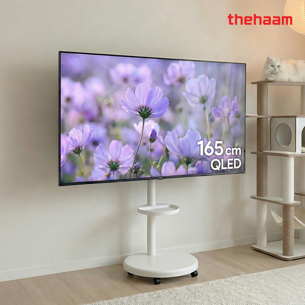 더함 스마트 구글 티비 165cm(65인치), QLED 120Hz, 이동식 스탠드
