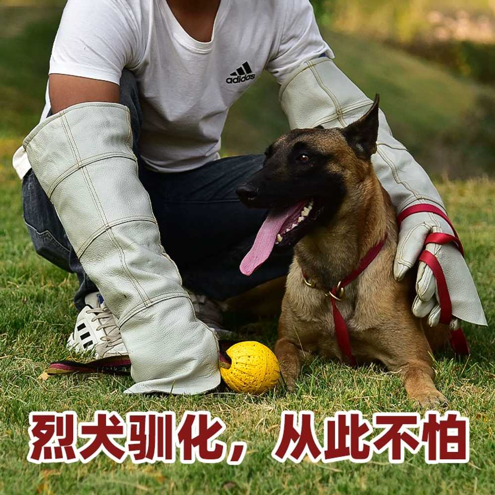 동물구조 손보호장갑입질 고양이 물림 할큄 용 훈련 방지 - 상세 이미지 4
