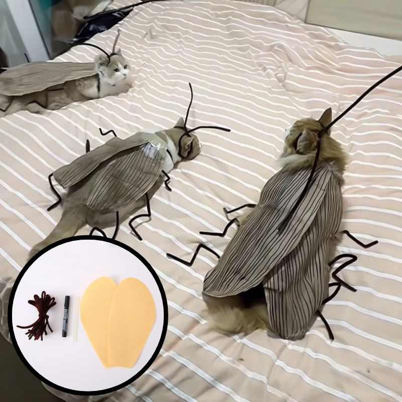 DIY 고양이 바퀴벌레 코스튬 코스프레 킹받는 선물 쓸모없는 쓸데없는 웃긴 - 상품 이미지