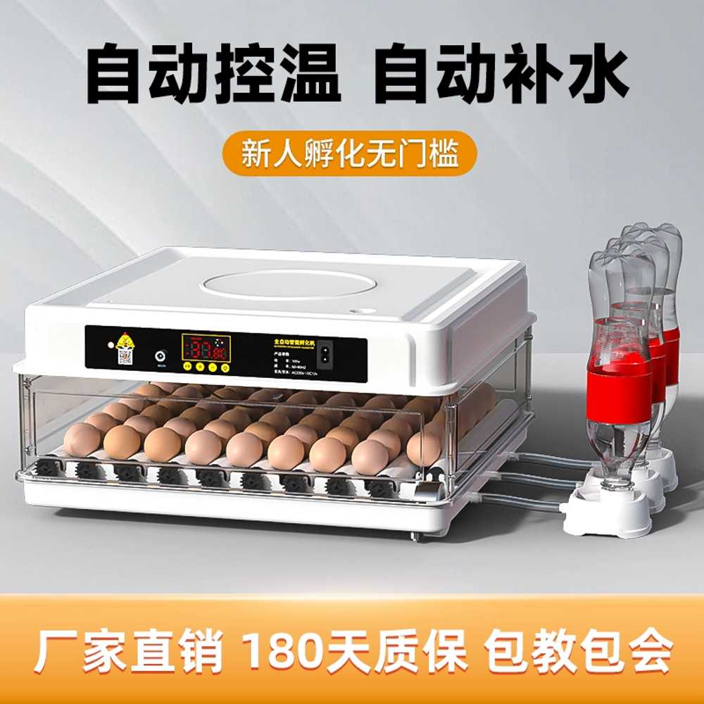 조류 부화기 꿩 메추리 닭 용 병아리 거위 알 키우기 - 상세 이미지 5