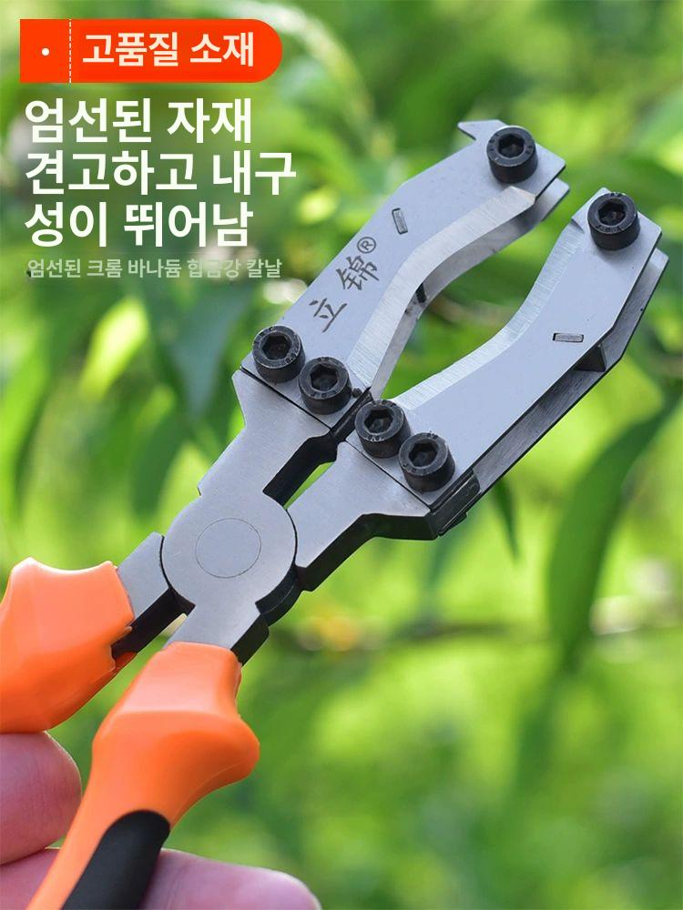 대추나무 박피가위 환상 열매 박피기 과수 농업 정원 포도 고급형 내구성 강화 튼튼한 - 상세 이미지 4