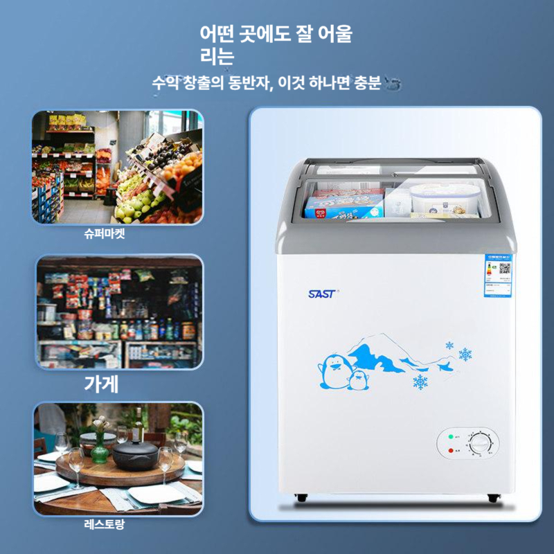 아이스크림냉장고 소형 냉동식품 편의점 평대 수직 미니 보관 가정용 실험 대용량 음식 - 상세 이미지 4