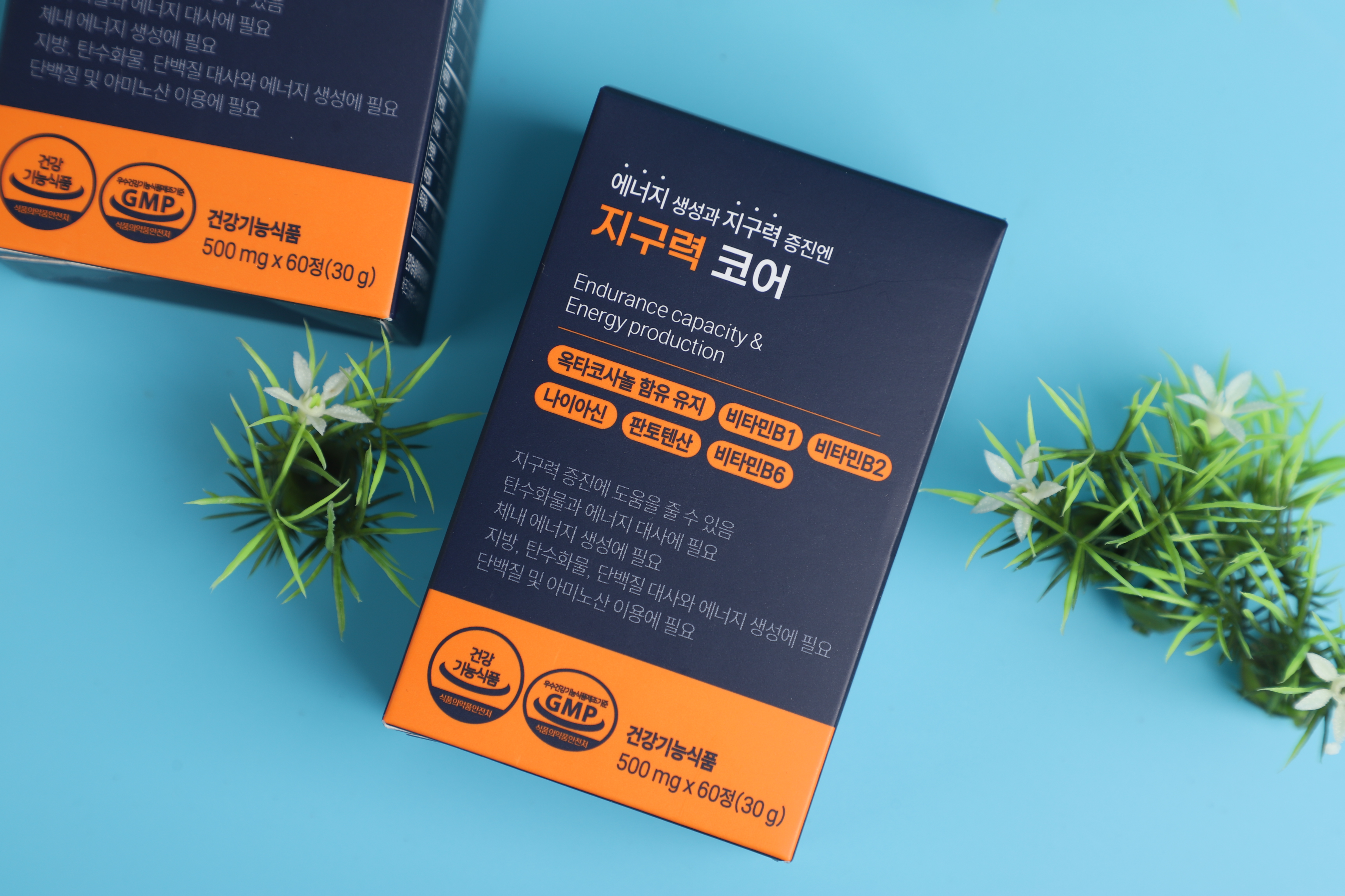 지구력코어 러닝 영양제 마라톤 에너지생성 지구력 옥타코사놀40mg건강기능식품 1박스2개월분 - 상세 이미지 2