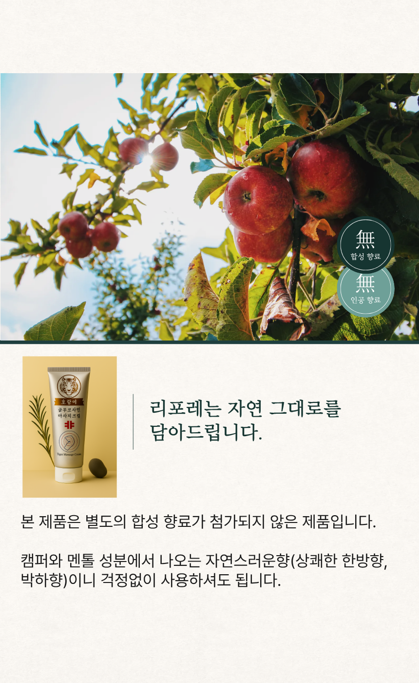 리포레 본초 무릎 크림 접골목 홍화꽃 추출물 마사지 케어 100ml, 1개 이미지 6