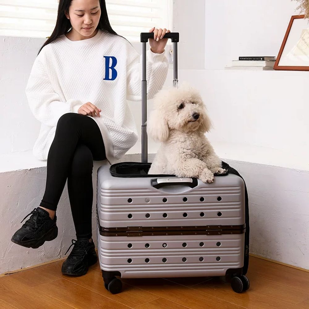 반려견 캐리어 대형 강아지 이동가방 바퀴 여행 켄넬 펫 휴대용 - 상세 이미지 2
