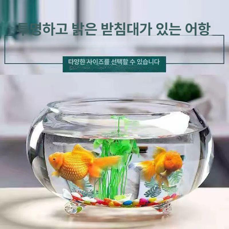 둥근어항 니모 유리 키우기 탱크 원통 대형 조경 베타 24cm 소형 산호 화이트 스톤 포함 - 상세 이미지 2