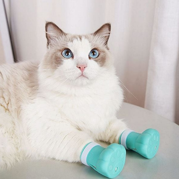 반려묘 고양이 목욕 신발 부츠 고양이 목욕 용품 발커버 할큄방지 고양이발 싸개 보호 세척 - 상품 이미지