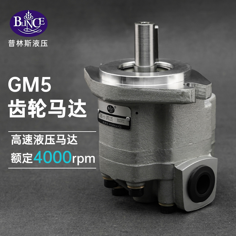 유압 기어 모터 저속 GM5 용 기어식 고속 교체 4000rpm - 상세 이미지 2