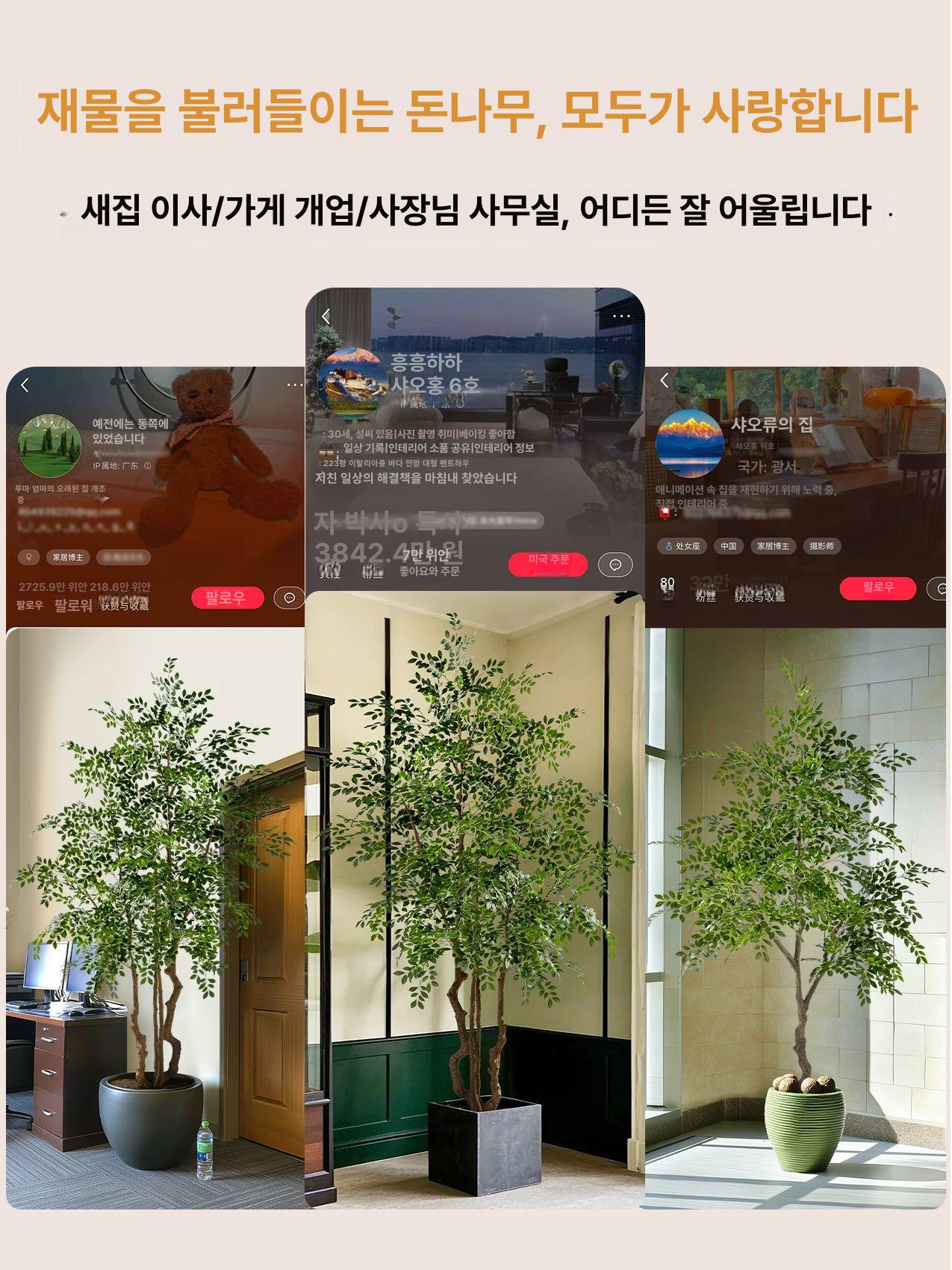 인조 조화화분 대형 세트 실내 장식 느릅나무 카페 인테리어 산소 행사용 - 상세 이미지 4