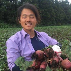 제주 무농약 비트 10kg 국산 친환경 레드비트 햇비트 농장 직송 맛있게 먹은 솔직 후기 - 상품 이미지 1