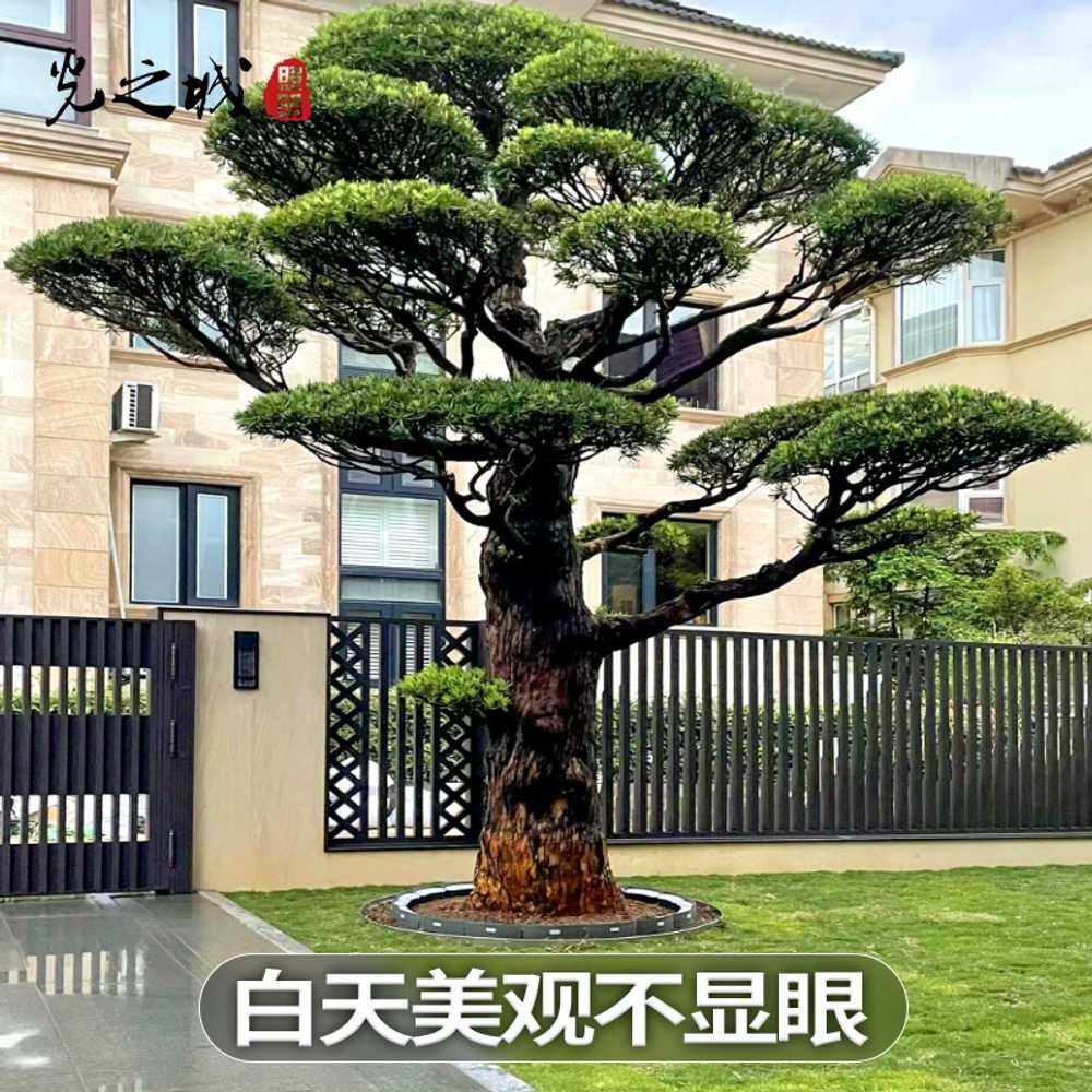 수목등 정원등 태양광 수목투사등 잔디등 용 조명 야외 - 상세 이미지 2