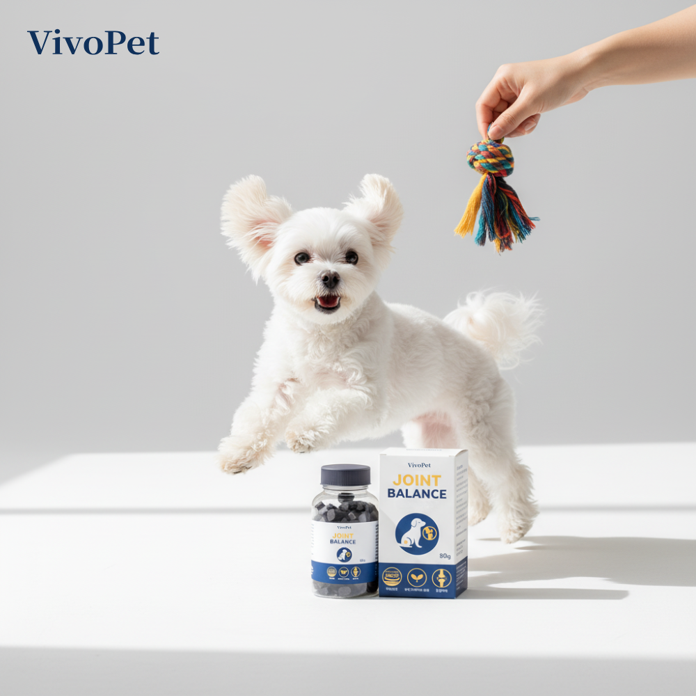 강아지 관절 슬개골 영양제 비보펫 VIVOPET 조인트밸런스 80정 80g, 2개