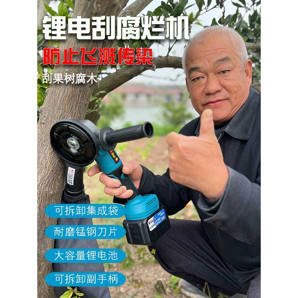 과일나무 껍질 긁는 해충 대패 용 긁개 제거 사포 깍이 - 상세 이미지 2