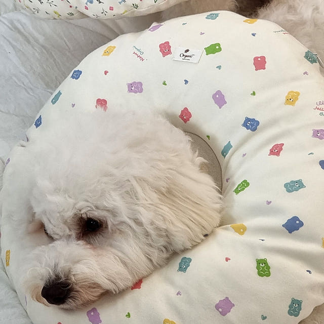 강아지 넥카라 오가닉 깔대기 커버 분리형 초경량 쿠션 꿀잠 젤리 S