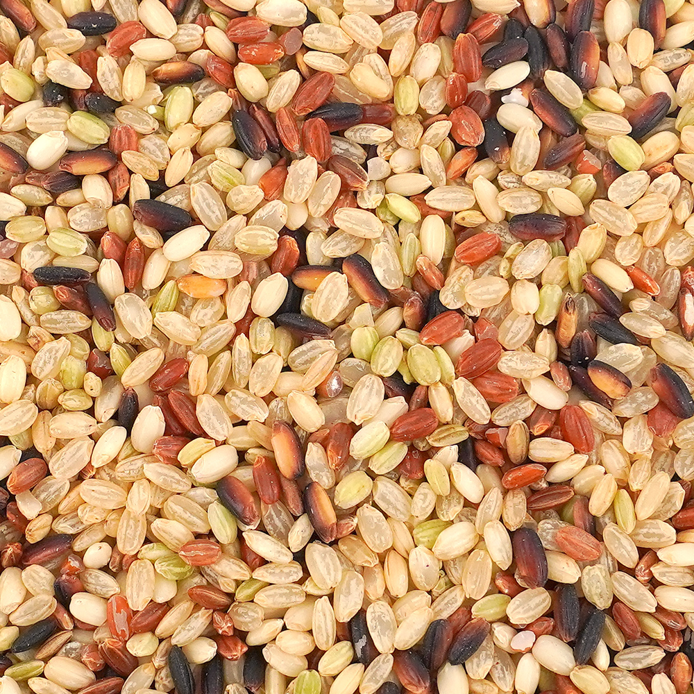 25년산 국산 유기농 오색 현미 쌀 1kg 이미지 3