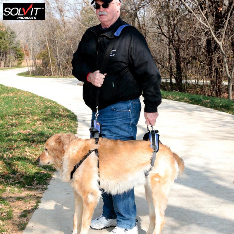 대형견 보조 하네스 노령견 벨트 슬개골 탈구 가슴줄 골드 16-32kg 고급형 내구성 강화 - 상세 이미지 5
