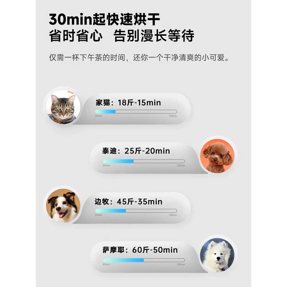 대형견 드라이룸 반려 강아지 동물 용 건조기 고양이 이미지 6