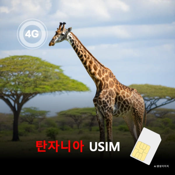 뜨거운청춘 탄자니아 유심 USIM 데이터 전용 무제한 이심통