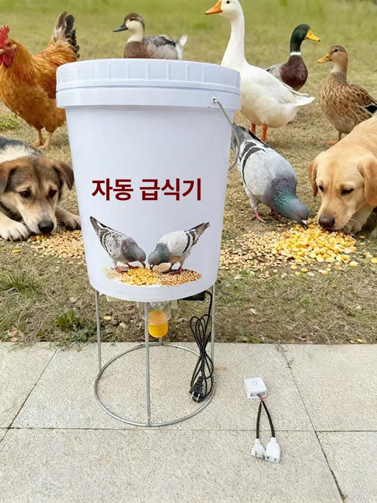 자동 사료통 닭모이 단일 피더기 공급기 호스트 일반형 220V 타이머 호스+나사 + 버킷 랙 - 상세 이미지 4