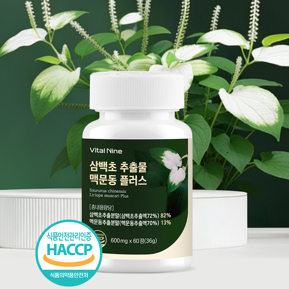 국산 삼백초추출물 퀘르세틴 삼백초 맥문동 분말 정 환 1+1 이미지 6