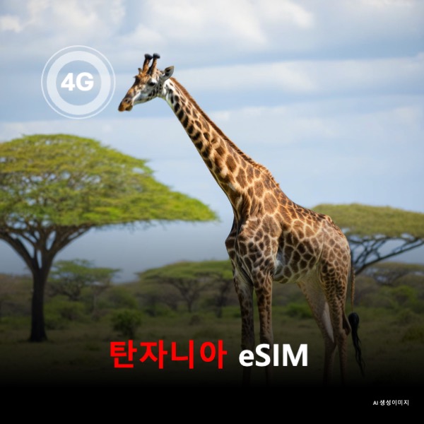 탄자니아 이심 eSIM 데이터 전용 매일 무제한 이심통 - 상품 이미지