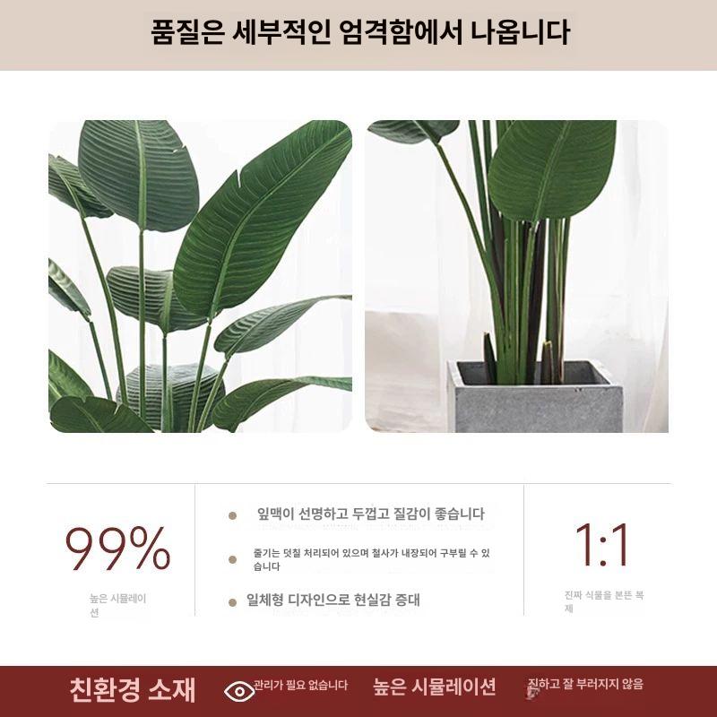 개업 인조나무 대형 극락조 매장 인테리어 조화 큰잎 화분 실내 장식 그린 - 상세 이미지 4