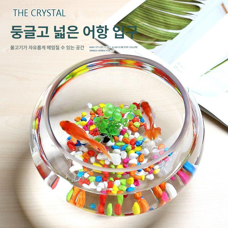 둥근어항 니모 유리 키우기 탱크 원통 대형 조경 베타 24cm 소형 산호 화이트 스톤 포함 - 상세 이미지 3