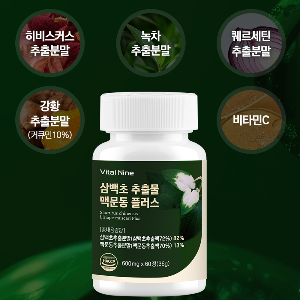 국산 삼백초추출물 퀘르세틴 삼백초 맥문동 분말 정 환 1+1 - 상세 이미지 3