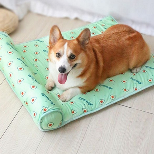 여름 강아지 쿨 매트 반려동물 고양이 쿨 매트 침대 패드 - 상품 이미지