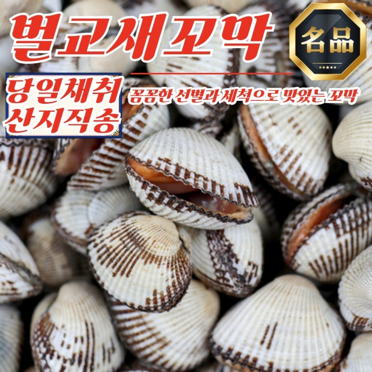 당일채취 산지직송 벌교 새꼬막 상 1kg - 상품 이미지