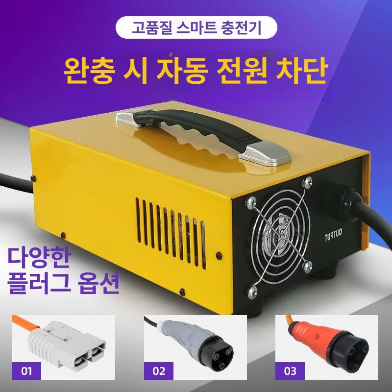 충전기 운반기 전기 지게차 배터리 관광차 중장비 외장형 전동 스태커 상품 납산 충전 - 상세 이미지 2