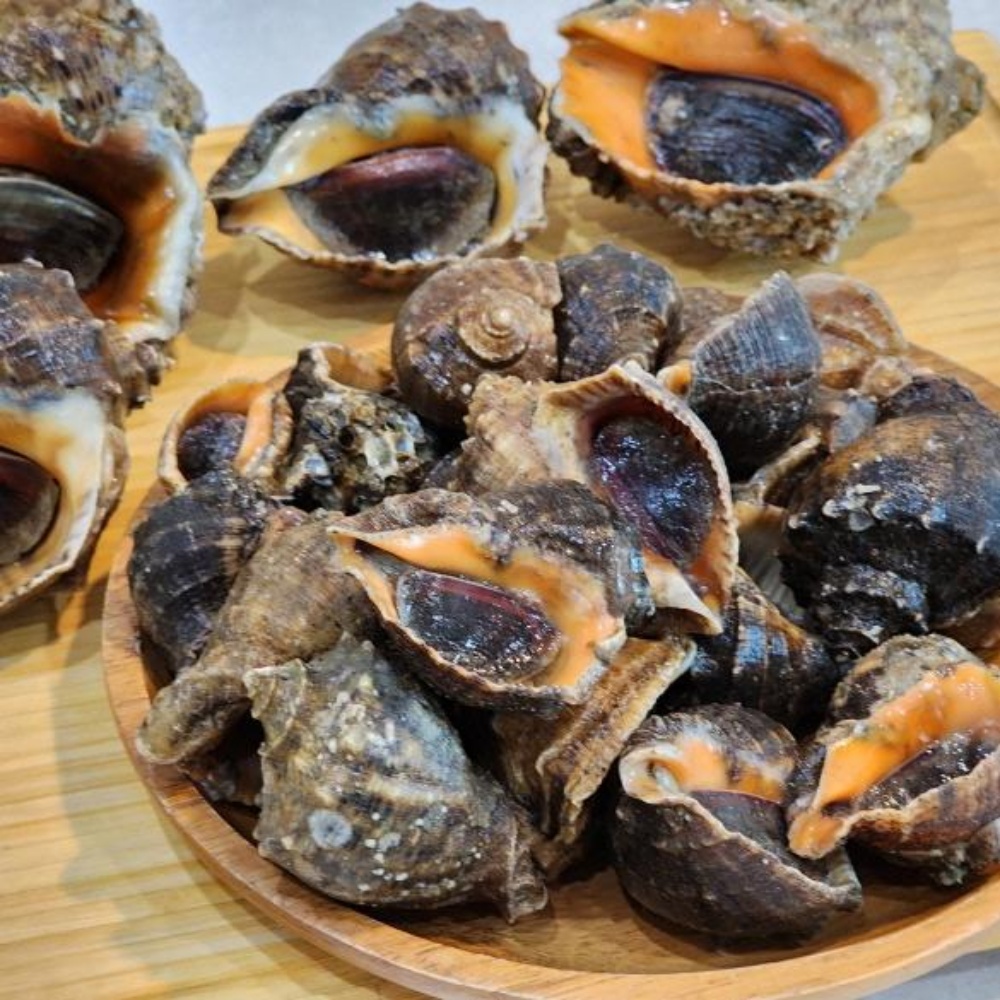 참소라 뿔소라 삐뚤이 소라 고동 자연산 삐뚜리 1kg 서해안 국산 제철 이미지 7