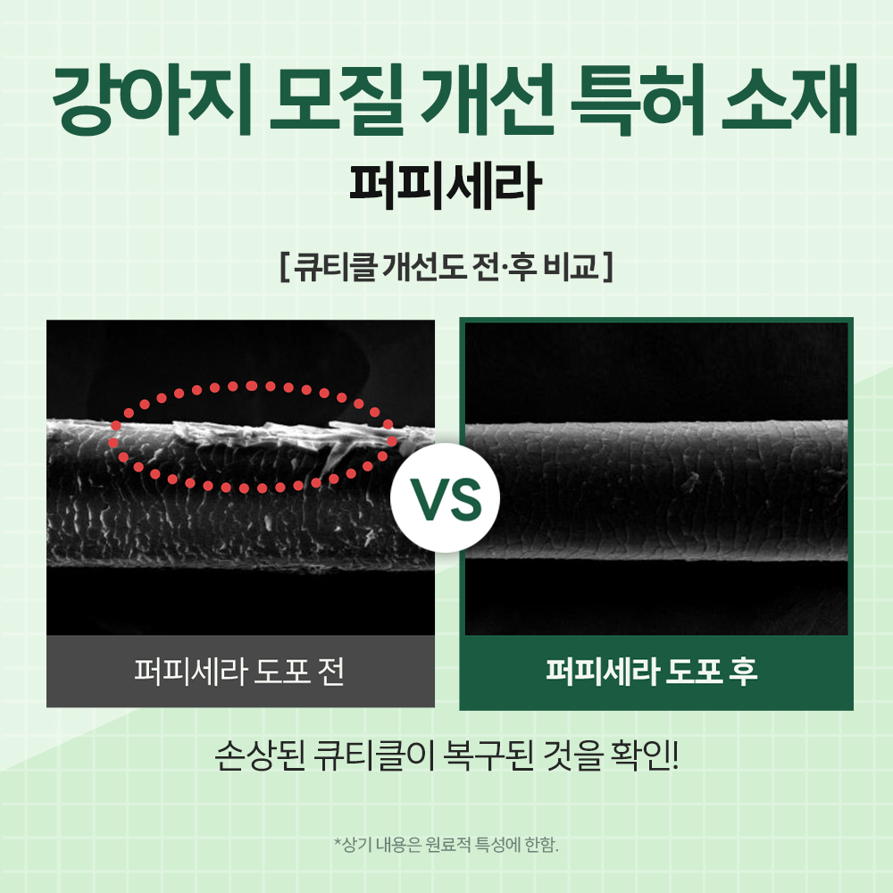 강아지 피부 관리 딥클렌징 추천 바이랩 스킨 테라피 온열 스킨 케어 강아지 피부 후기
