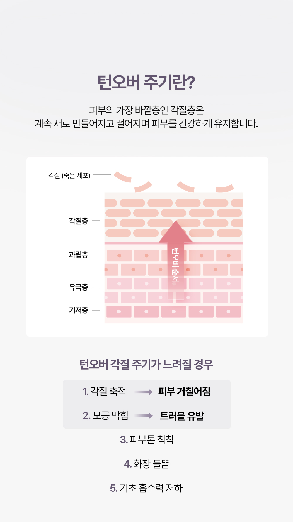 korean pentaberry panthenol peel pad