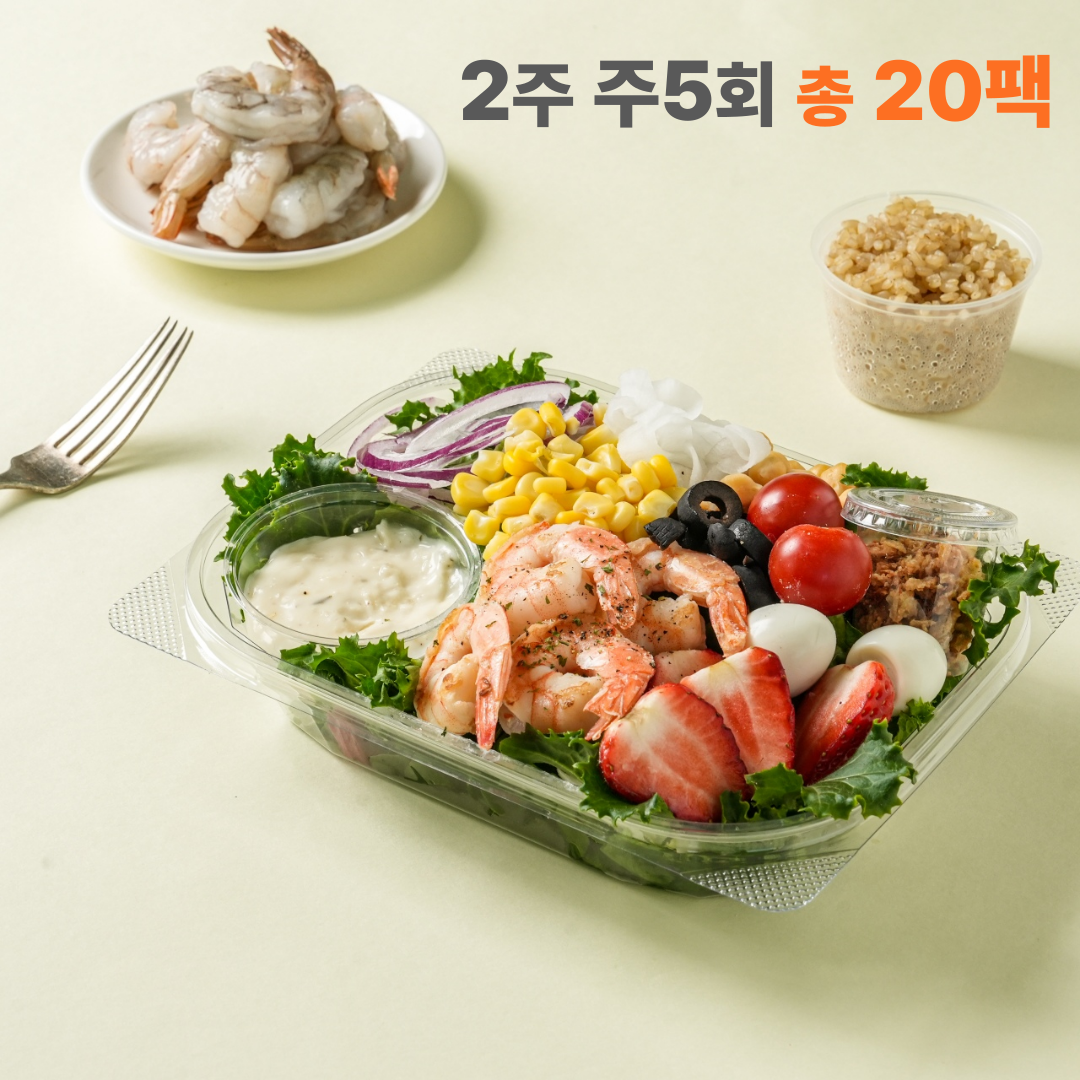 샐러드 정기배송 포케 도시락 식단 관리 건강 도시락 2주 식단 후기