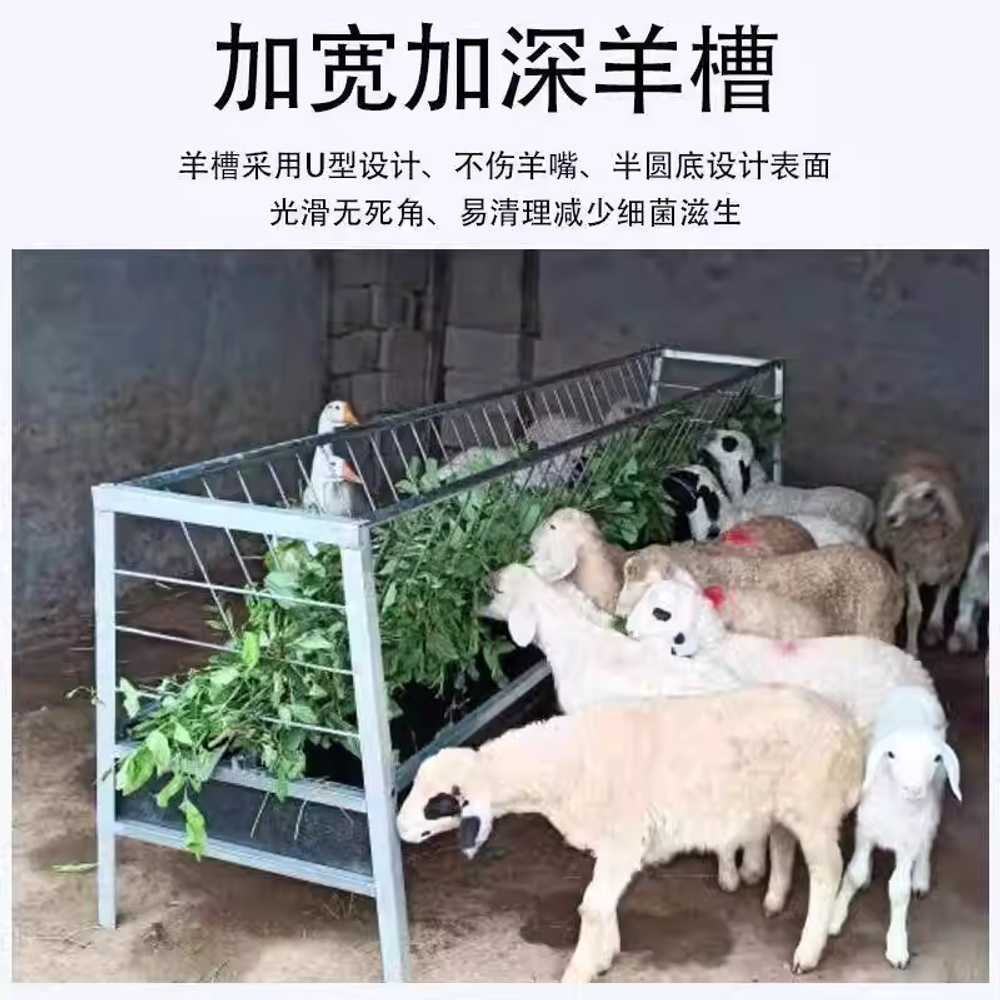 염소 먹이통 여물통 가축 사료 급여기 배식통 100 컨베이어 - 상세 이미지 4