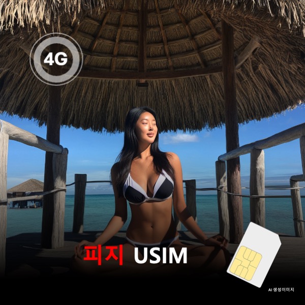 [유심칩] 피지 유심 USIM 데이터 전용 매일 무제한 이심통 - 상품 이미지
