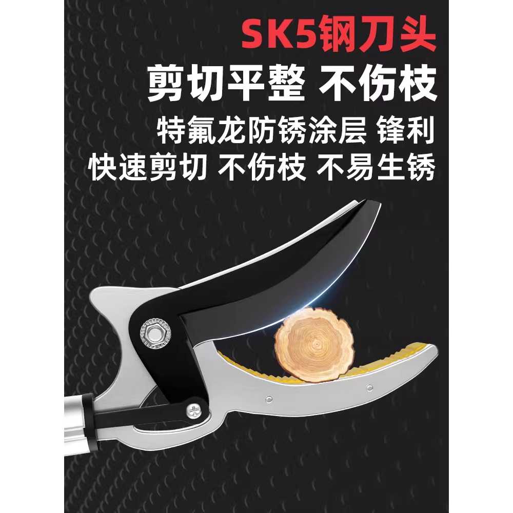 전지 가위 조경 과수원 과일 따기 가지치기용 톱 공구 - 상세 이미지 5