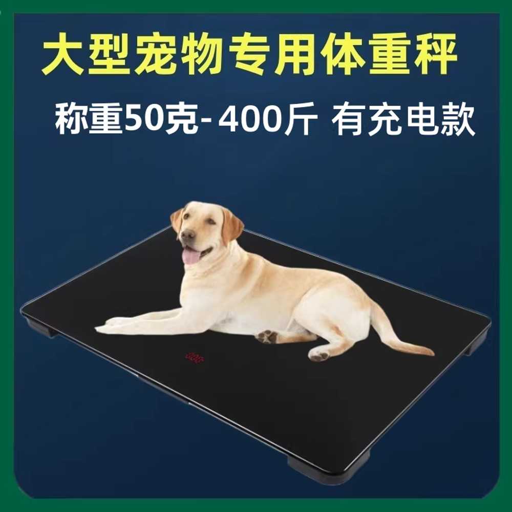 강아지 체중계 반려동물 동물병원 애견샵 몸무게 저울 65x45 - 상세 이미지 3