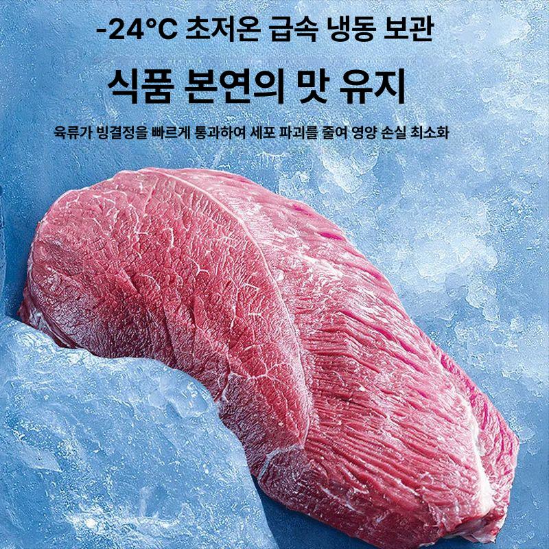 보존식 냉동고 가정용 업소용 보관 칸막이 1도어 영업용 냉장고용품 냉동 - 상세 이미지 4
