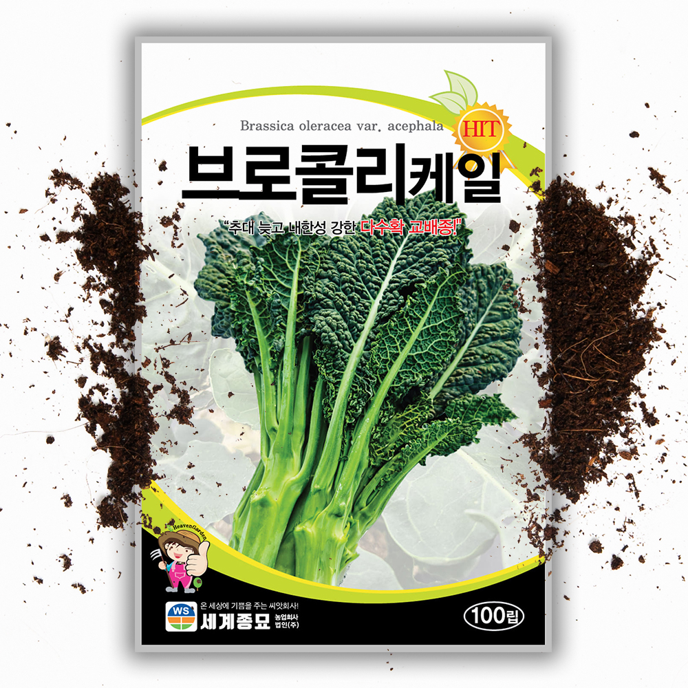 브로콜리케일 씨앗 100립 케일과 브로콜리를 한번에 교배종 쌈채소 이색 채소 씨앗 - 상품 이미지