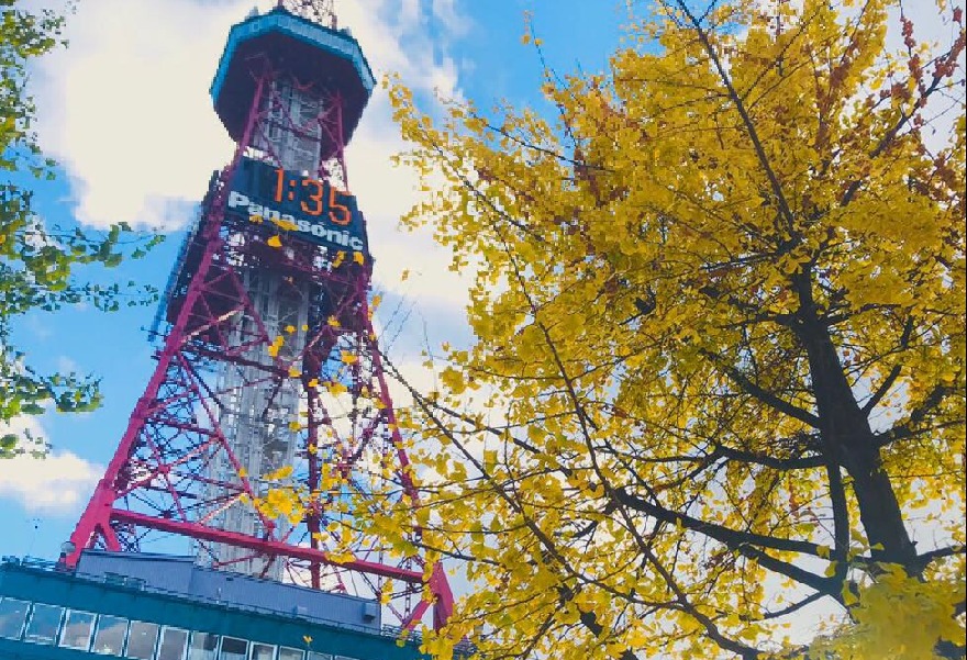 [즉시확정] 홋카이도 삿포로 TV타워 전망대 입장권 - 상품 이미지