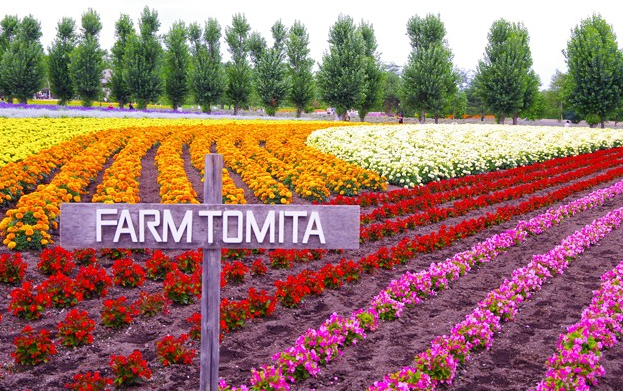 [준페이 매장 식사] 비에이 버스투어 (북해도 삿포로 비에이 후라노) 라쿠투어 이미지 8