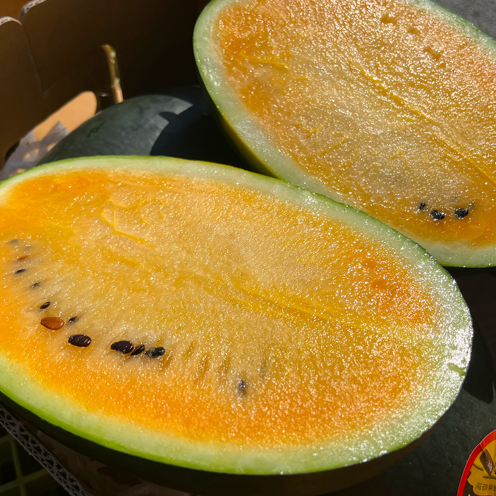 [금서율네] 고당도 블랙 망고수박 노란수박 노랑 블랙보스 2-3kg - 상품 이미지