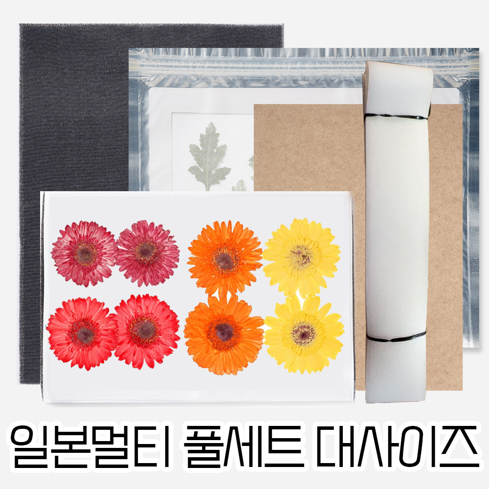 [일본멀티풀세트] 압화건조매트 대사이즈 압화만들기 - 상품 이미지