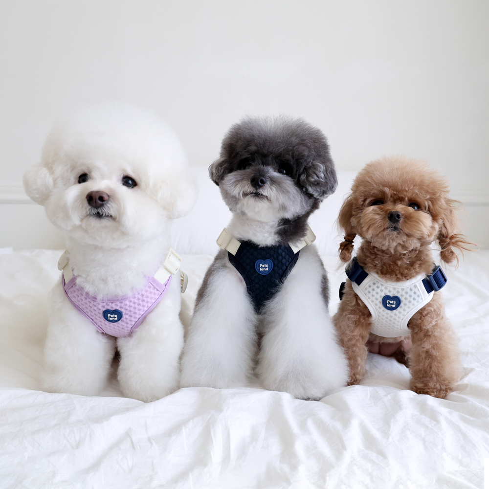 강아지 하네스 가슴줄 X형 애견 반려견 중형견 소형견 에어브레스 HARNESS 단품 S - 상품 이미지